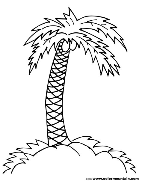 coconut coloring page  getdrawings