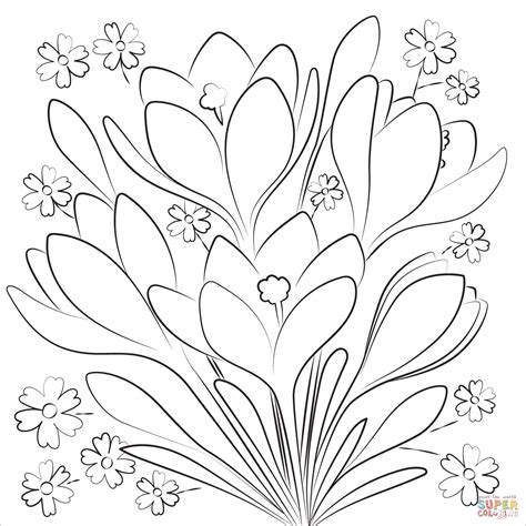 spring flowers coloring pages  print
