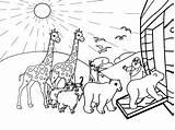 Ark Noah Coloring Pages Noahs Drawing Printable Kids Sheets Bible Bob His Print Sunday School Marley Preschool Children Animal Cartoon sketch template