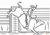 Bull Rodeo Toros Cowboy Monta Bucking Bulls Cowboys Imprimir Imágenes Supercoloring sketch template