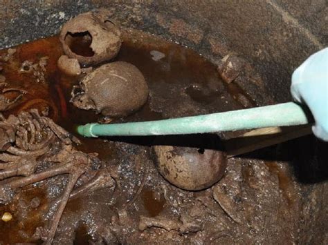 scientists identify mystery liquid in egyptian sarcophagus archaeology