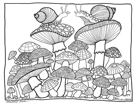 mushrooms drawing  getdrawings