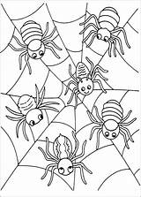 Fledermaus Spinne Malvorlagen Spiders Zenideen Malblatt Ausdrucken Coloriage Vorlagen Geister Herbst Kürbis Färben Bluedog Garibimsi sketch template