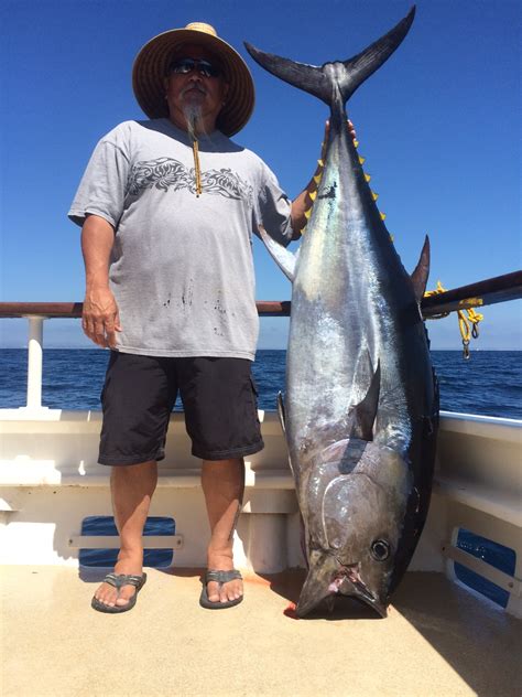 day charter   beautiful  bluefin tuna success sport fishing