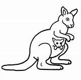 Kangaroo Template Kangourou Coloring Coloriage Pages Printable Print Colorier Templates Animal Facile Magique Pouch Baby Choose Board sketch template