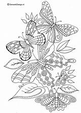 Volwassenen Vlinder Bloemen Vlinders Mandala Dieren Uitprinten Tekeningen Tekening Detailed Kolorowanki Downloaden sketch template