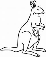 Kangaroo Coloring Pages Baby Color Drawing Kids Clipart Printable Pouch Kangaroos Kangoroo Library Spoonbill Outline Cliparts Painting Template Getdrawings Clip sketch template