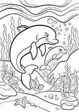 Dolphin sketch template