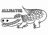 Alligator Coloring Pages Crocodile Drawing Printable Florida Outline Gators Alligators Cute Color Kids Print Gator Line Toddlers Book Getdrawings Getcolorings sketch template