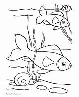 Coloring Pet Fish Pages Printable Kids Printables Pond Color Sheets Book Print Clipart Cutouts Pets Animals Library Comments Popular Activity sketch template
