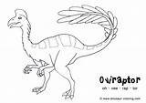 Dinosaur Coloring Pages Oviraptor Awesome Rex Sheets Flying Drawings sketch template