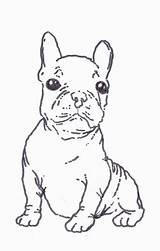 Bulldog Coloring French Pages Terrier Boston Printable Color Drawing West Highland Puppy Kids Print Step Getcolorings Library Nice Draw Clipart sketch template