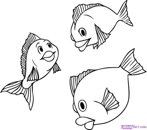 fish images drawings   fish images drawings png