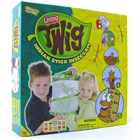 insect lore living twig indian stick insect kit