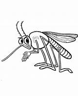 Coloring Mosquito Cartoon Colouring Funny Print Pages Topcoloringpages Insect Getcolorings Sheet sketch template