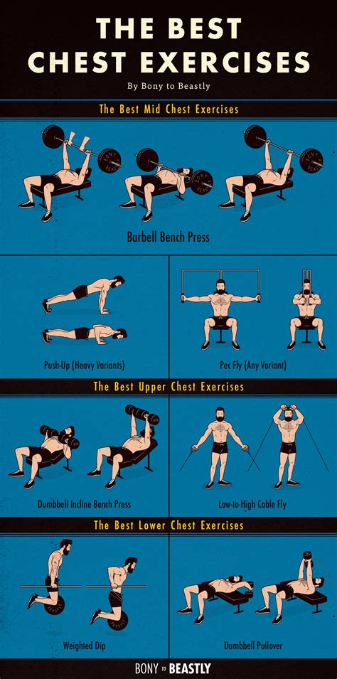 chest exercises chart bony  beastly