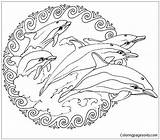Mandala Flippers Dolfijnen Downloaden Uitprinten sketch template