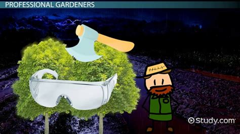 landscape gardener salary zdm crew