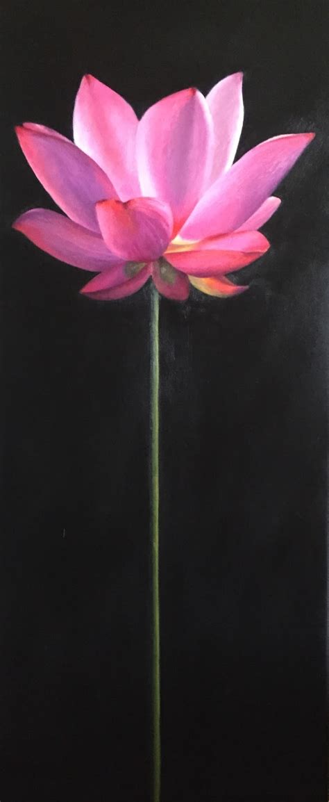 Paintings By Cheryl Meehan Pink Lotus