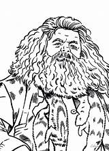 Hagrid Rubeus Cartoon Knowledgeable Pace Otherworldly Workable Regardless Whether Simply sketch template