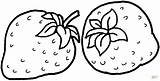 Coloring Pages Strawberries Strawberry Printable sketch template