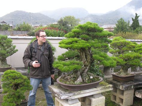 kiyoshi hiramatsu hiramatsu shunshoen bonsai garden
