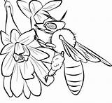 Nectar Bumblebee Designlooter sketch template