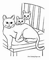 Coloring Pages Cat Cats Printable Kids Color Print Big Books sketch template