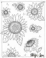Skiptomylou Sunflowers Colouring Tsgos sketch template