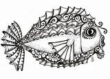 Zentangle Fishy Creatures Animal Monochrome sketch template