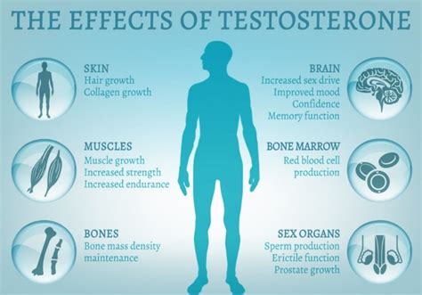 Signs Of Low Testosterone In Men Symptoms And Health Effects – Men