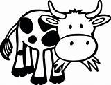 Vaca Comiendo Pasto Dibujosonline Categorias Cow sketch template