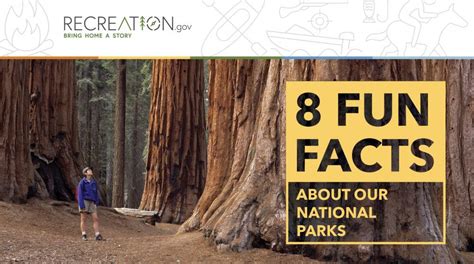 fun facts  national parks estes park trail gazette