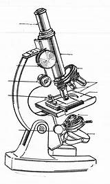 Microscopio Optico Monocular Partes Esquema Compuesto Opticas Celulas sketch template