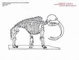 Mastodon sketch template