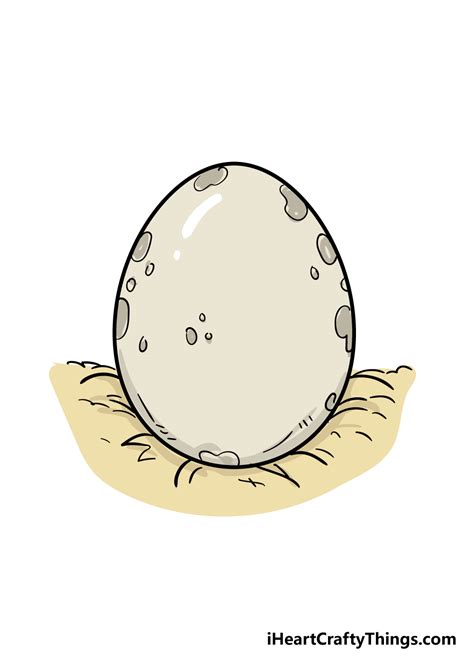 egg drawing   draw  egg step  step