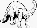 Dinosaur Dinosaurs Triceratops Homecolor sketch template