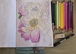creative haven  full bloom coloring book creative haven coloring