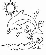 Coloring Dolphin Pages Printable Kids Jumping Sun sketch template