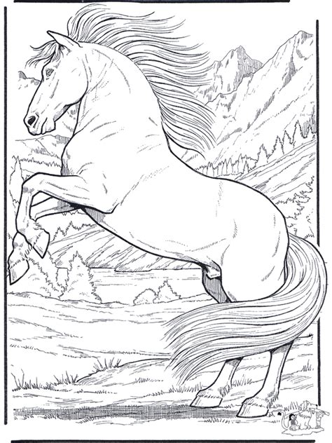 realistic wild horse coloring pages barry morrises coloring pages