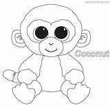 Beanie Boos Coconut Xcolorings Koala Corky Kooky Casanova Ty sketch template