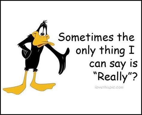 18 Best Daffy Duck Images On Pinterest Funny Stuff