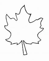 Leaf Fall Crafts Template Leaves Maple Craft Kids Coloring sketch template
