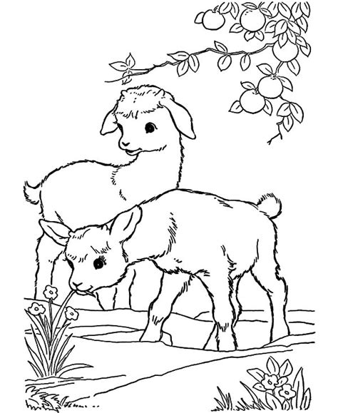 baby goat playing  orange tree coloring pages color luna