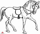 Horse Drawing Clipart Coloring Drawings Pages Saddle Outline Bridle Christmas Cliparts Morgan Para Color Kids Printable Clip Library Clipartmag Clipartbest sketch template