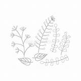 Herbarium Handdrawn Silhouettes Herbs Twigs Drawn Malbuch Einfache Schattenbilder Kräuter Edelsteinen Kristallen Zweig sketch template