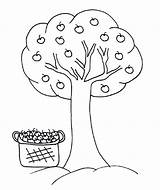 Tree Coloring Apple Fruit Basket Apples Pages Getcolorings Getdrawings Printable sketch template