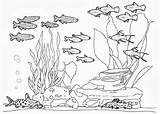 Coloring Fish Tank Pages Complete Netart Aquarium Color Colouring Drawing sketch template