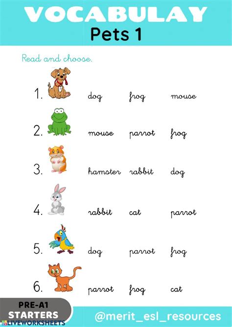 pets read  choose pets worksheet preschool vocabulary english worksheets  kids pets