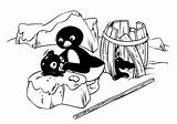 Pingu Ausmalbilder Pingouin Pinga Malvorlage Stimmen Zo Hibou Mademoiselle Stemmen sketch template